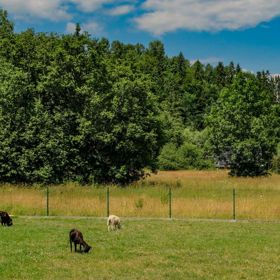 Restauracja Górska Białka Tatrzańska
