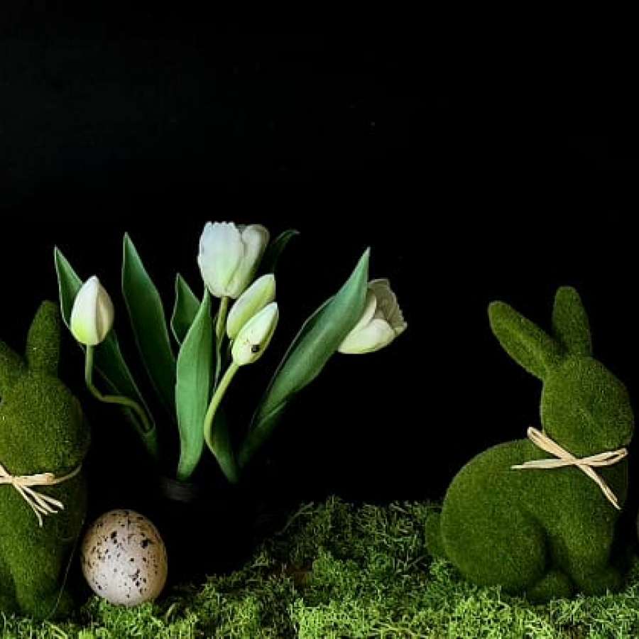 Restauracja Górska Białka Tatrzańska