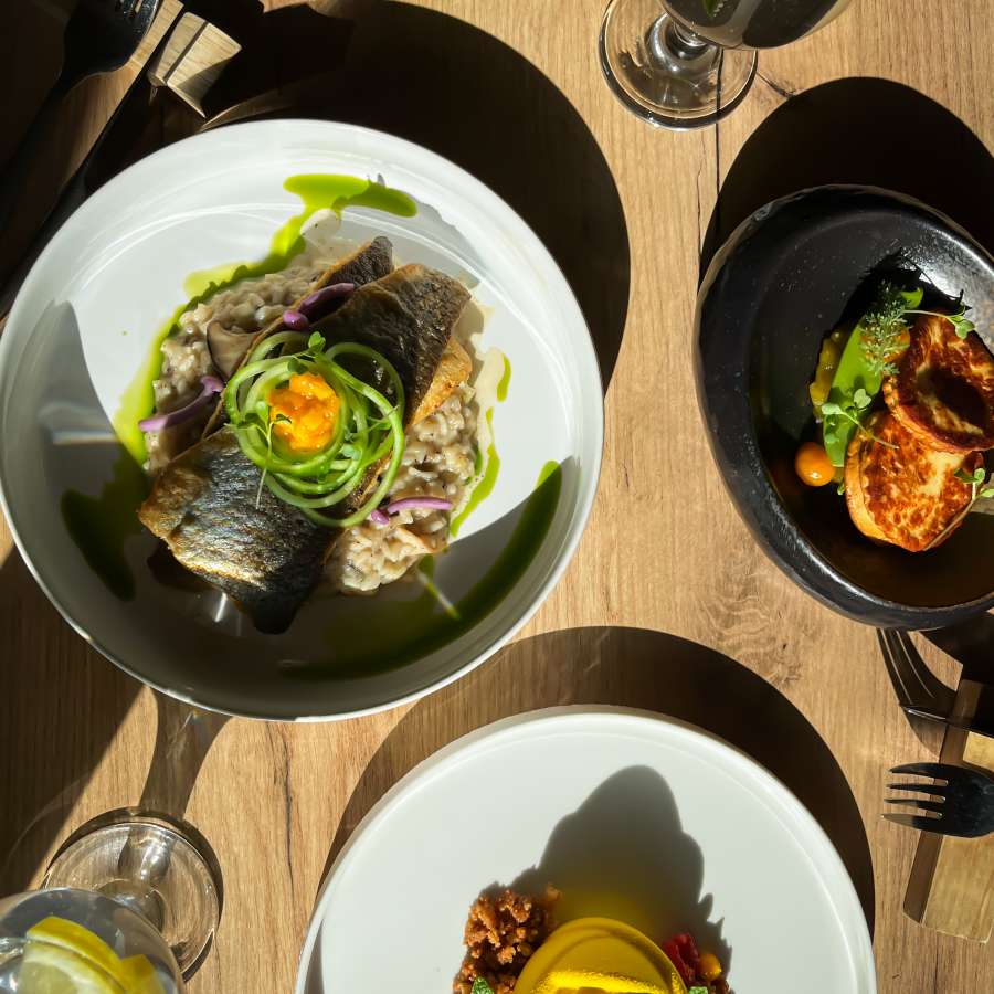 kolacja degustacyjna